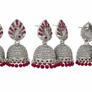 whatsapp image 2026 01 31 at 5.56.50 pm copy